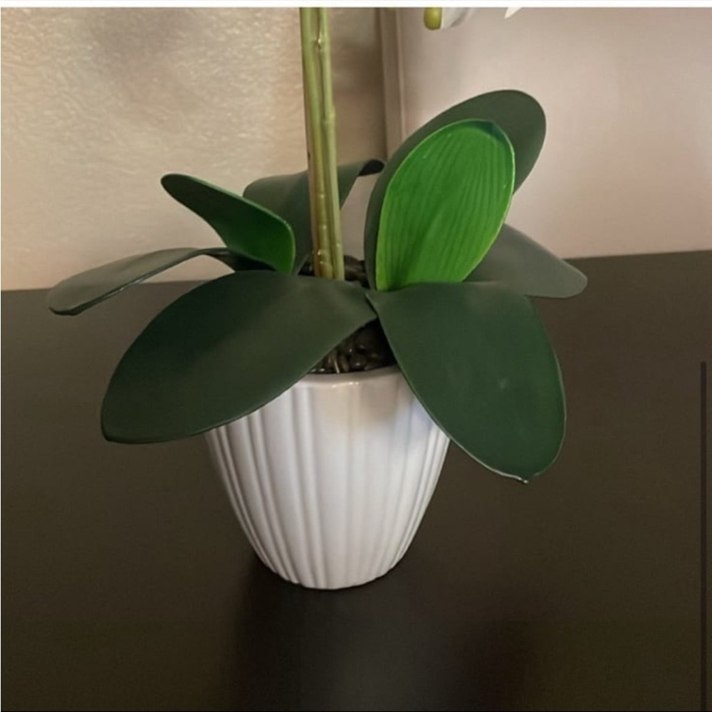 NWOT artificial white orchid in Ribbed Pot - Picture 5 of 7